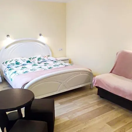 Goscinne Sonea 招待所 3*