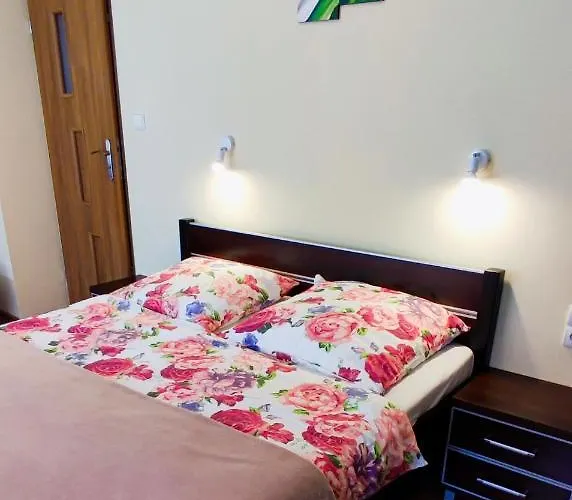 Goscinne Sonea Guest house 3*